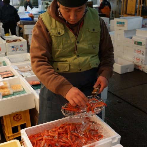 Fish Market 1